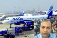 Indigo offloads doctor after complaining of mosquito menace