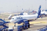 Indigo sweet 16 anniversary offer book flights for rs 1616