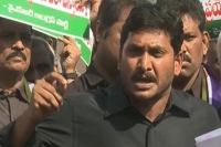 Ysrc party gives state bandh call demanding special status to ap