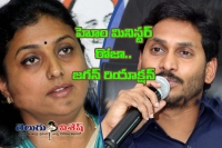 Ysrcp chief jagan warn mla roja