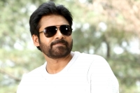 Janasena activists with new josh asks pawan to contest from vijayawada