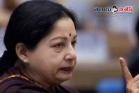 Ec cleared on jaya s left thumb on election papers