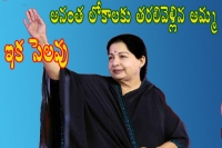 Jayalalithaa tamil nadu chief minister passes away