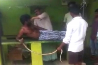 Man in karnataka s ballari walks into hospital with cobra that bit him