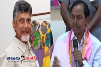 Will invite naidu for chandi yagam kcr