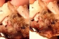 Melbourne man shocked to notice maggots in kfc chicken