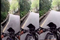 Viral video biker dies after boulder falling from the hill smashes into his bike