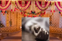 Tragedy in khammam newlywed groom commit suicide two days after marriage