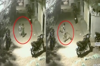 Brave boy escapes from street dogs attack