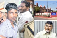 High court issues notices to ap cm chandrababu in jagan attack case