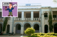 Ap judicial ministerial services invited appointment different posts unit of district judge kurnool