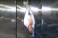 Labour in amritsar beaten to death hung upside down video goes viral on facebook