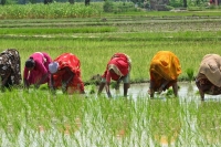 Telangana govt collecting land to distribute