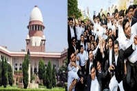 Lawyers don t have right to strike work says sc