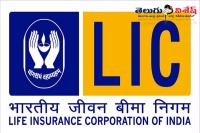 Lic of india jobs notification recruitment apprentice development officers vacancies
