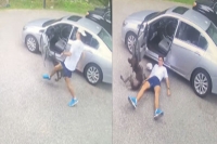 Excited dog knocks down owner while playing fetch then returns for round 2