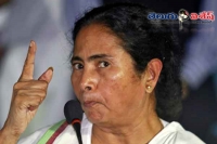 Wb cm mamata banerjee leads march to president