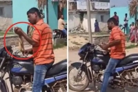 Man bites snake into pieces for crossing his path in karnataka
