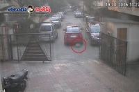 Man runs over stray dog for peeing on his car
