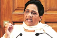 Bjp tampered with evms alleges mayawati asks for fresh polling by ballot papers