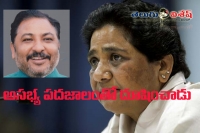 Bjp vice president objectionable statement on mayawati