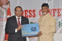 Nara chandrababu naidu said that amaravathi will mesmerise all