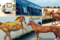 Netizens left teary eyed after watching video of horse chasing bus for missing mother