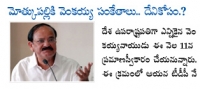 Venkaiah naidu gives good signs to mothkupalli