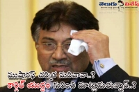 Pakistan ex president musharaf commented on india about kargil war