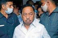 Union minister narayan rane arrested in maharashtra over slap cm remark