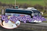 Strangers strip off and have sex in front of passengers on national express coach