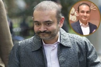 Nirav modi spotted in london reportedly conducts business as usual