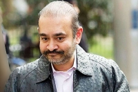 Punjab national bank scam case nirav modi to be extradited to india rules london court