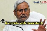 Nitish kumar says he never want to became pm