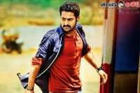 Ntr latest movie shooting starts from today