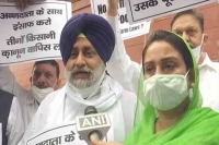 Akali dal stages protest against centre s farm laws outside parliament