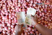 Onion price reach to hundred rupees in retail market