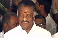 Will prove strength in tn assembly says panneerselvam