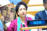 Pakistan ambassador lodhi tries to pass off palestinian victim as kashmiri