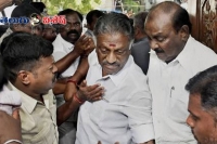 Paneerselvam political choice for tn cm