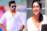 Parineeti chopra to romance ntr in janatha garage