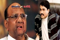 Narasimha rao backed his move to reject dawood s surrender pawar