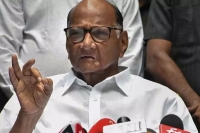 Nothing wrong in shiv sena s 50 50 demand sharad pawar