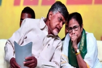 Chandrababu naidu denies allegations on pegasus spyware chandrababu naidu news