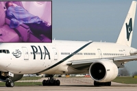 Pakistan international airlines pilot sleeps on flight risks 300 lives