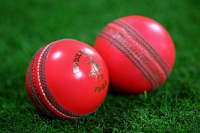 Pink ball ready for test debut
