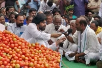 Pawan kalyan visits tomato market at madanapally