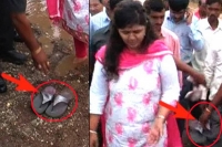 Minister pankaja munde s defence for man carrying her slippers