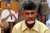 Ap pcc chief raghuveera reddy suggestions chandrababu naidu ap special status issue