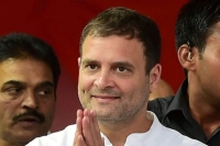Rahul gandhi wins wayanad by over 8 lakh votes highest margin